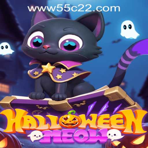 HalloweenMeow: A Spooky Adventure Unveiled
